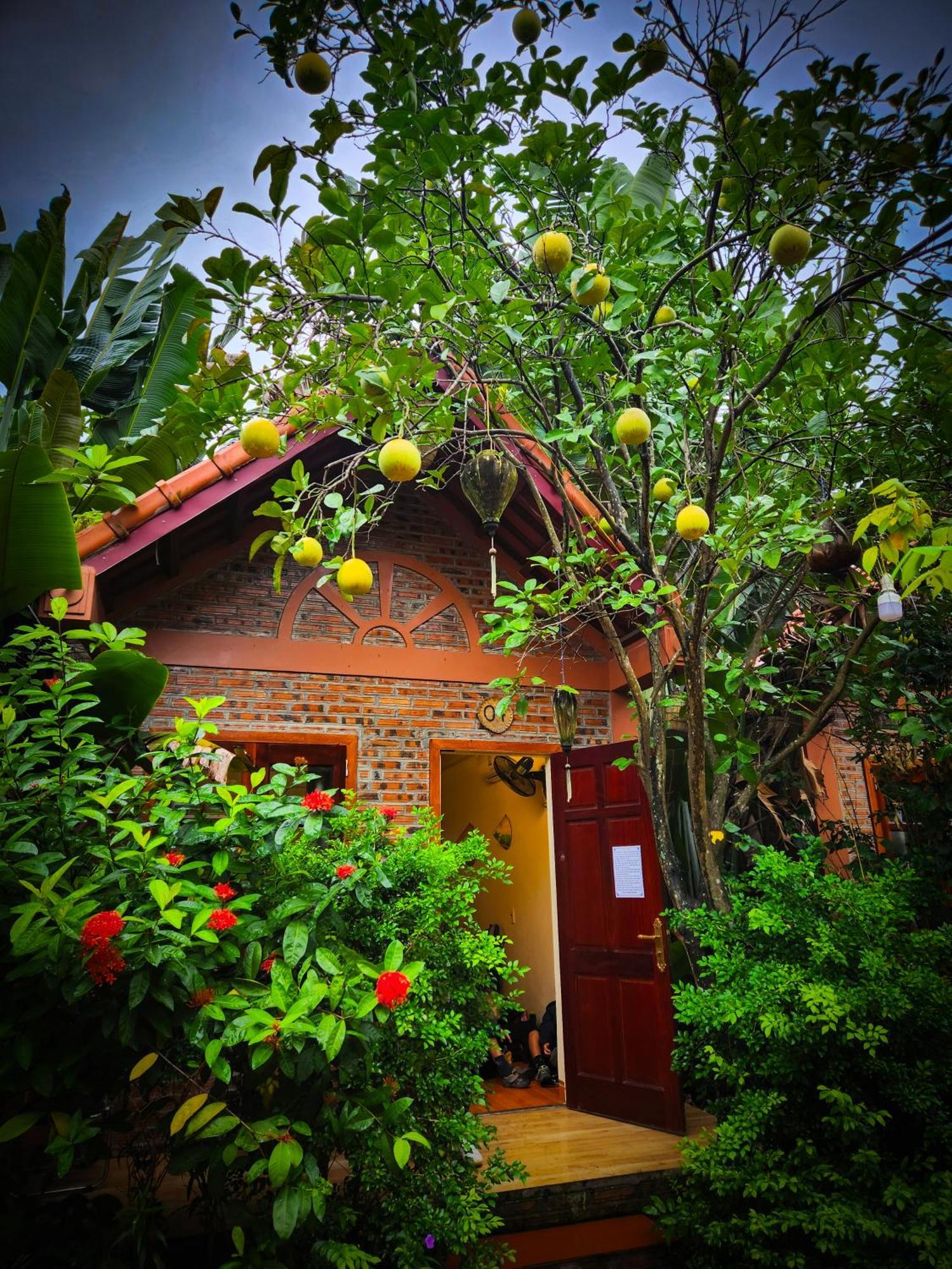 Trang An Village Homestay Ninh Binh Exterior foto